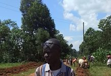 Webuye West MP, Sugar millers on the spot over poor roads
