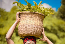 Namuenge Bukusu Darling makes inroads in a male-dominated field