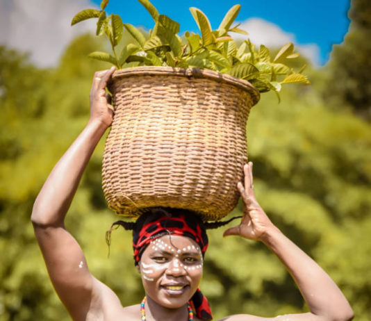 Namuenge Bukusu Darling makes inroads in a male-dominated field