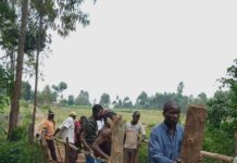 Steve Biko comes to the aid of Kambini residents