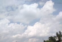 Police finally manage to stop senator Wetangula’s convoy, but not the journey