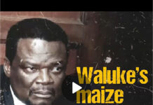 Waluke’s 297 million maize fraud case simplified…