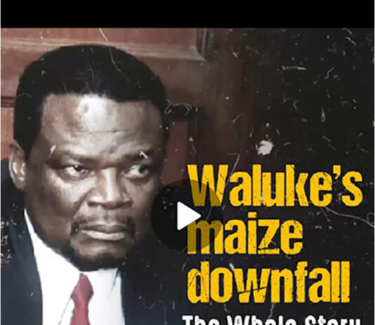 Waluke’s 297 million maize fraud case simplified…