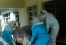 EXCLUSIVE: Kabuchai Politician Edward Nabangi Tale’s burial… in pictures