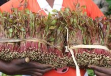 Thursday 09th July, In bits… by Webster Wechuli