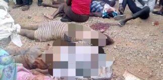 Kaburengu accident claims 7 lives, 14 hospitalised