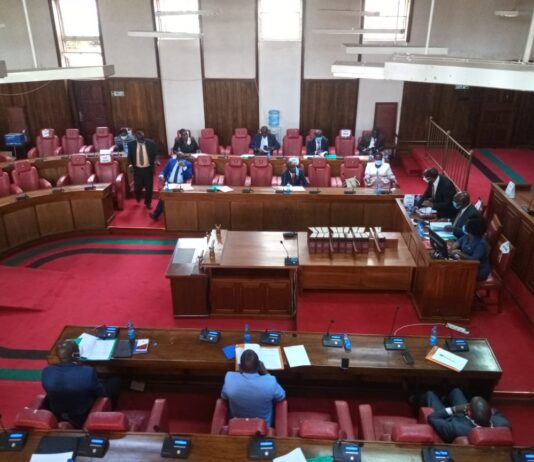 CPSB ANNUAL REPORT: Employees with forged papers under investigation as the Executive is blamed