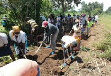 Luyekhe residents open up roads after leaders showed little interest