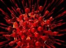 #Covid-19 claims its first female victim in Bungoma