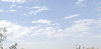 Friends School Kamusinga, Kimilili boys register 17 new admitted Covid-19 cases