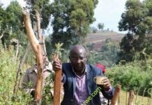 Wangamati’s fear ahead of today’s BBI meeting with 5-county MCAs