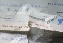 IMPUNITY; Educ. CECM’s brother runs amok, brags of her protection