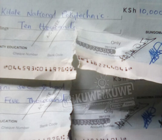 IMPUNITY; Educ. CECM’s brother runs amok, brags of her protection