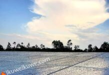 KAKAMEGA: Historic Solar moment