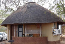 Unpacking the Alienated Bukusu Intellectual/Professional