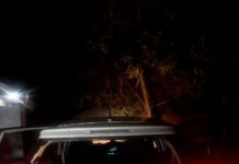 Bumula MCA Hon. Humprey Wamalwa counts loses after a high-speed chase