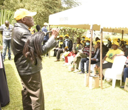 Ruto has never said he wants to be a Presidential Candidate – Muthama