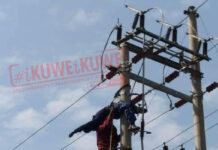 Webuye man risks own life to save an electrocuted KPLC employee