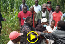 A funeral heckler gets more than he bargained for as Senator Wetangula puts hecklers-for-hire on notice