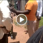 VIDEO: Chaos at BC Mortuary as hired goons, Security block Zacharia Barasa’s team from assisting a family