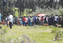 Steve-Sonko Sponsors FREE Livestock Vaccination in a rare tact to boost Voter Registration