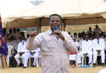 Sirisia MP John Waluke to ditch UDA