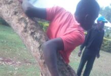 IMAGES: Man on the run after “cricifying” a suspected thief