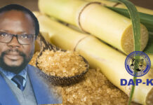 Wamunyinyi, DAP-K aim their guns at Senate Speaker Lusaka over “delayed” Sugar Bill