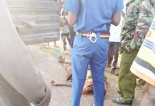 Most Wanted robber fakes death to escape death