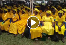 ZONED: Senator Malalah names Western favorites, casualties set to fight back