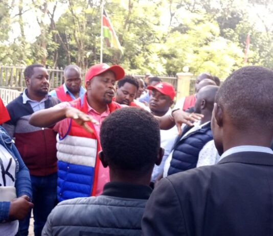 Uproar as DAP-K is accused of attempting to choke Jubilee Party into zoning-submission