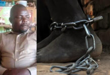 LETTER: Bungoma driver imprisoned in South Sudan for running over 5 pregnant cows worth KShs 1million