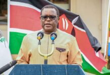 GMO MAIZE IMPORTATION: Its okay even though it’s not okay… says Council of Governors