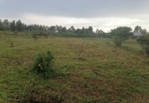 Bungoma Land Office should swiftly solve this before we go the Kisii way ~ Dennis