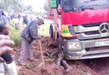 Rider dies, pillion escapes unscratched in a bizarre truck-bodaboda accident