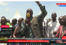 STATISTICS: Public Participation for the Impeachment of Deputy President Rigathi Gachagua