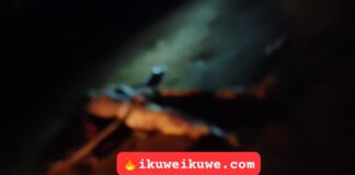 GRAPHIC: Two motorbike thieves with links in Uganda lynched in Bungoma