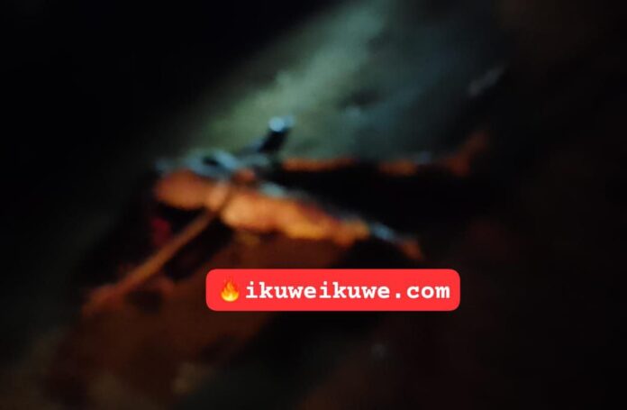 GRAPHIC Two motorbike thieves with Ugandan links lynched in Bungoma 1