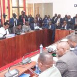 Francis Tome links Lusaka’s “3.68 million Christmas Tree Celebration” claim to a “Smart City” petition