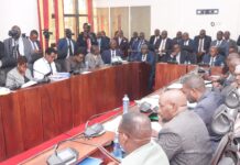 Francis Tome links Lusaka’s “3.68 million Christmas Tree Celebration” claim to a “Smart City” petition