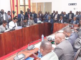 Francis Tome links Lusaka’s “3.68 million Christmas Tree Celebration” claim to a “Smart City” petition