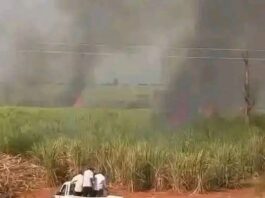 END OF STRIKE: Protesting sugarcane workers secure Kshs. 1B