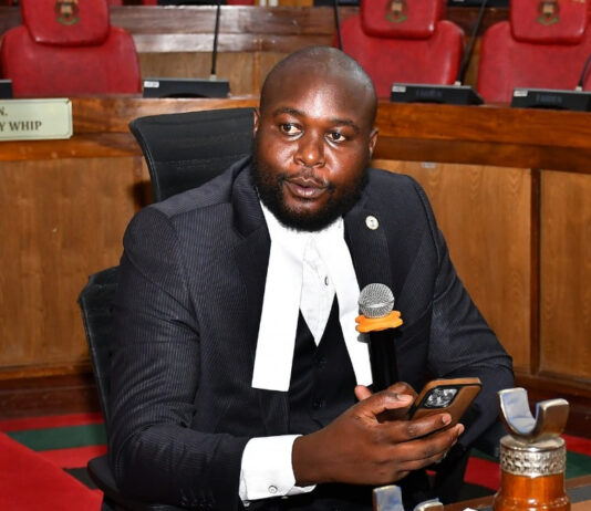 GROUNDS FOR REMOVAL OF EDWARD ORINGE WASWA FROM OFFICE OF BUNGOMA COUNTY ATTORNEY